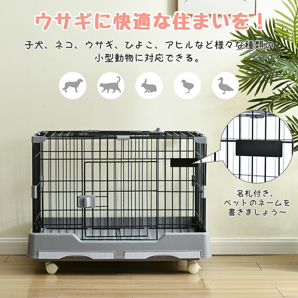 楽天市場】casa セレクトケージ rabbit 80の通販