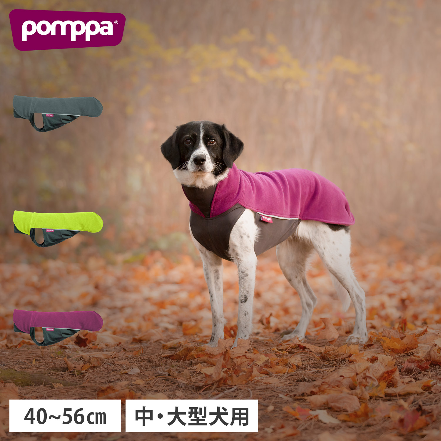 Pomppa(ポムッパ) ペルス ポムッパ ピンク 65 ポムッパ ペルス