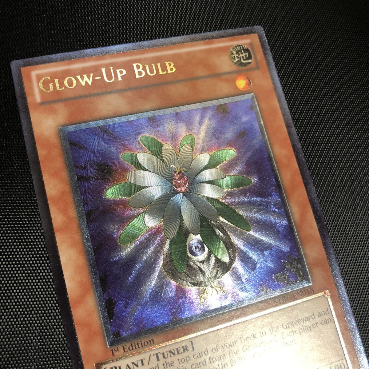 遊戯王 英語版 STBL-EN018 Glow-Up Bulb グローアップ・バルブ グロー