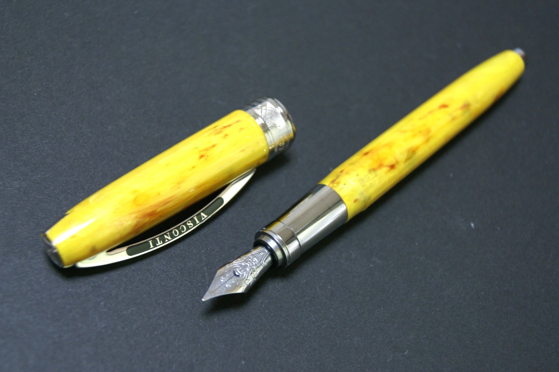 ビスコンティ ヴァンゴッホ ひまわり VISCONTI SUNFLOWERS （細字