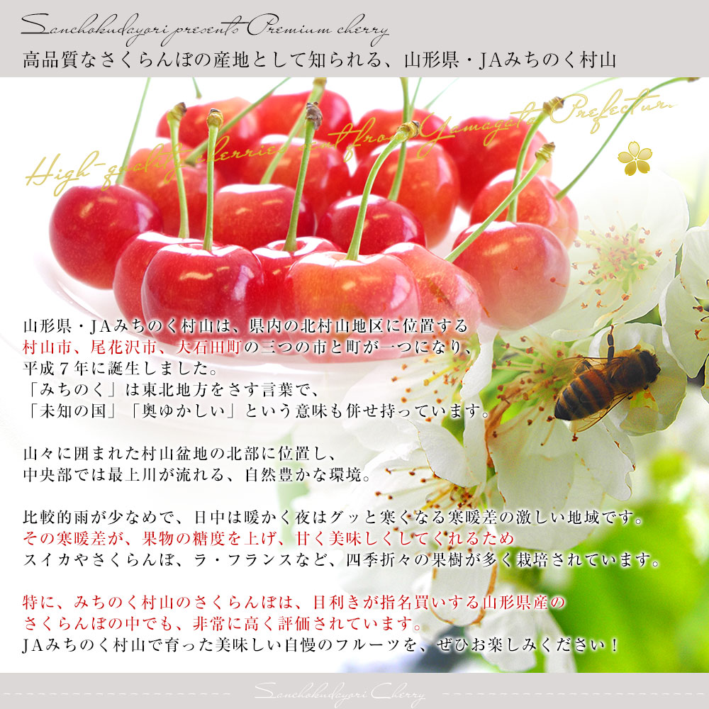 山形県産 JAみちのく村山 さくらんぼ 佐藤錦 マル秀品 Mサイズ以上