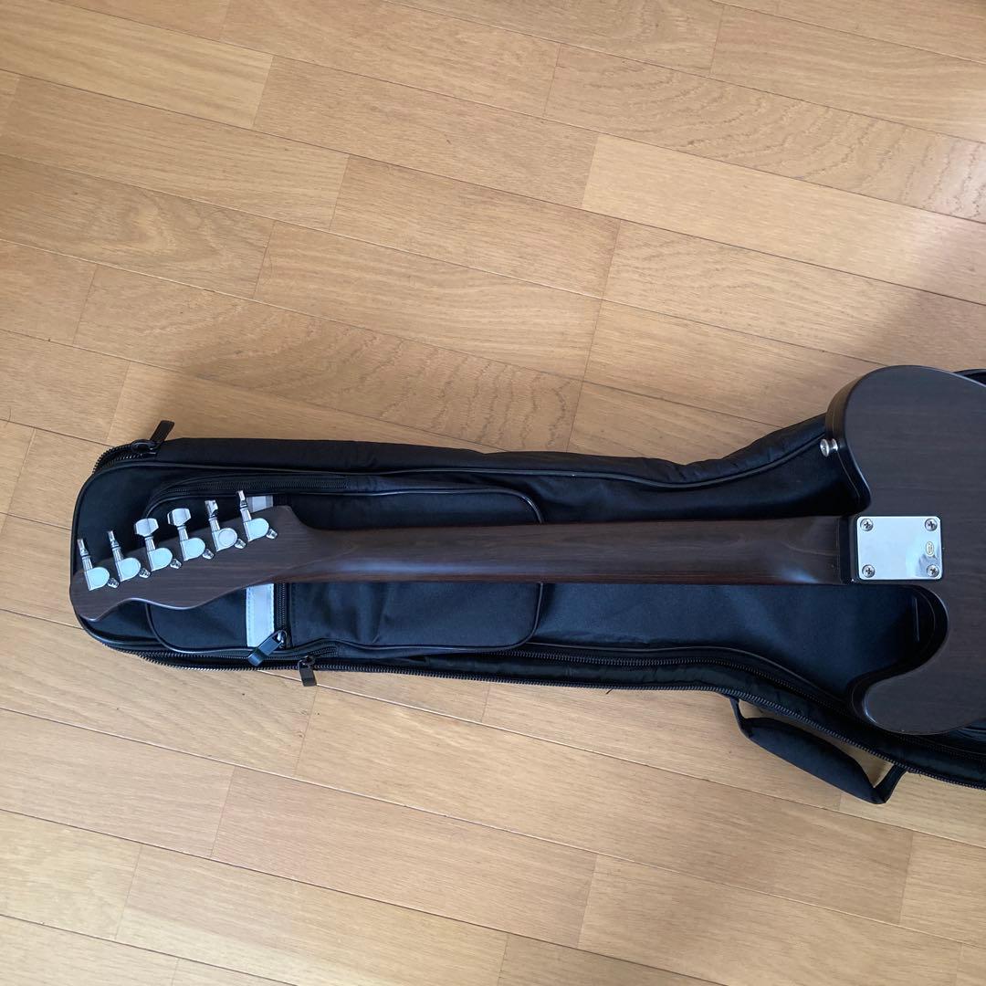 Bacchus BTE-TW テレキャスター エレキギター ソフトケース付き